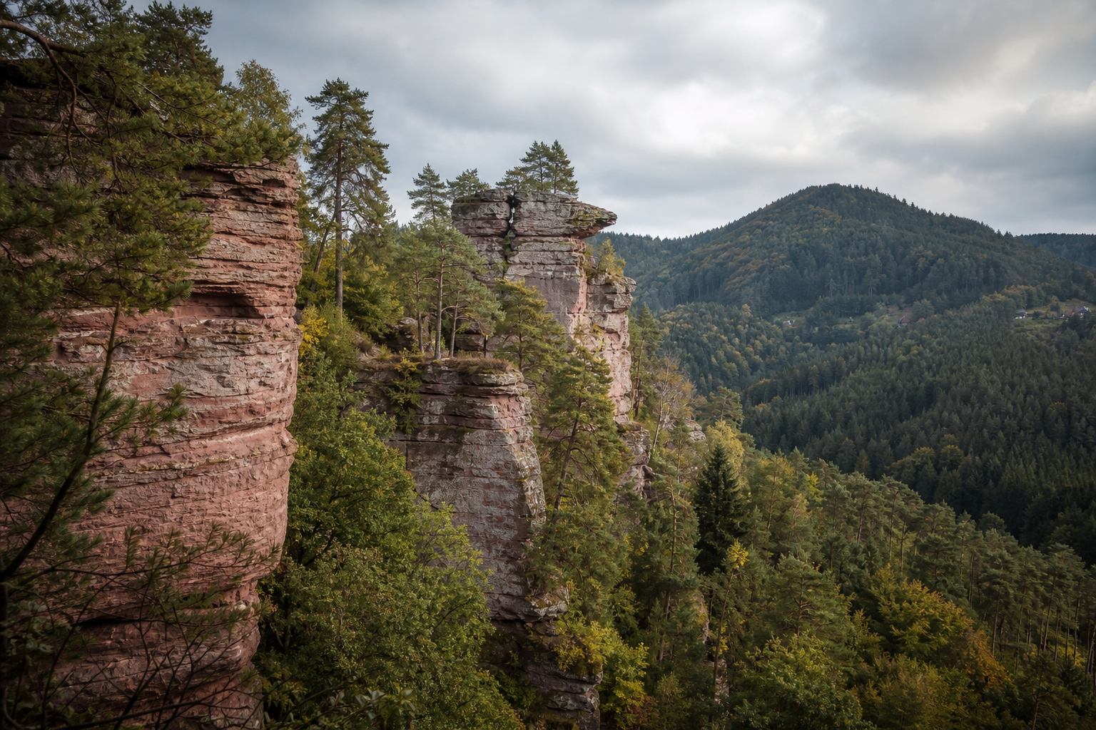Rosafarbene Sandsteinformationen im Dahner Felsenland